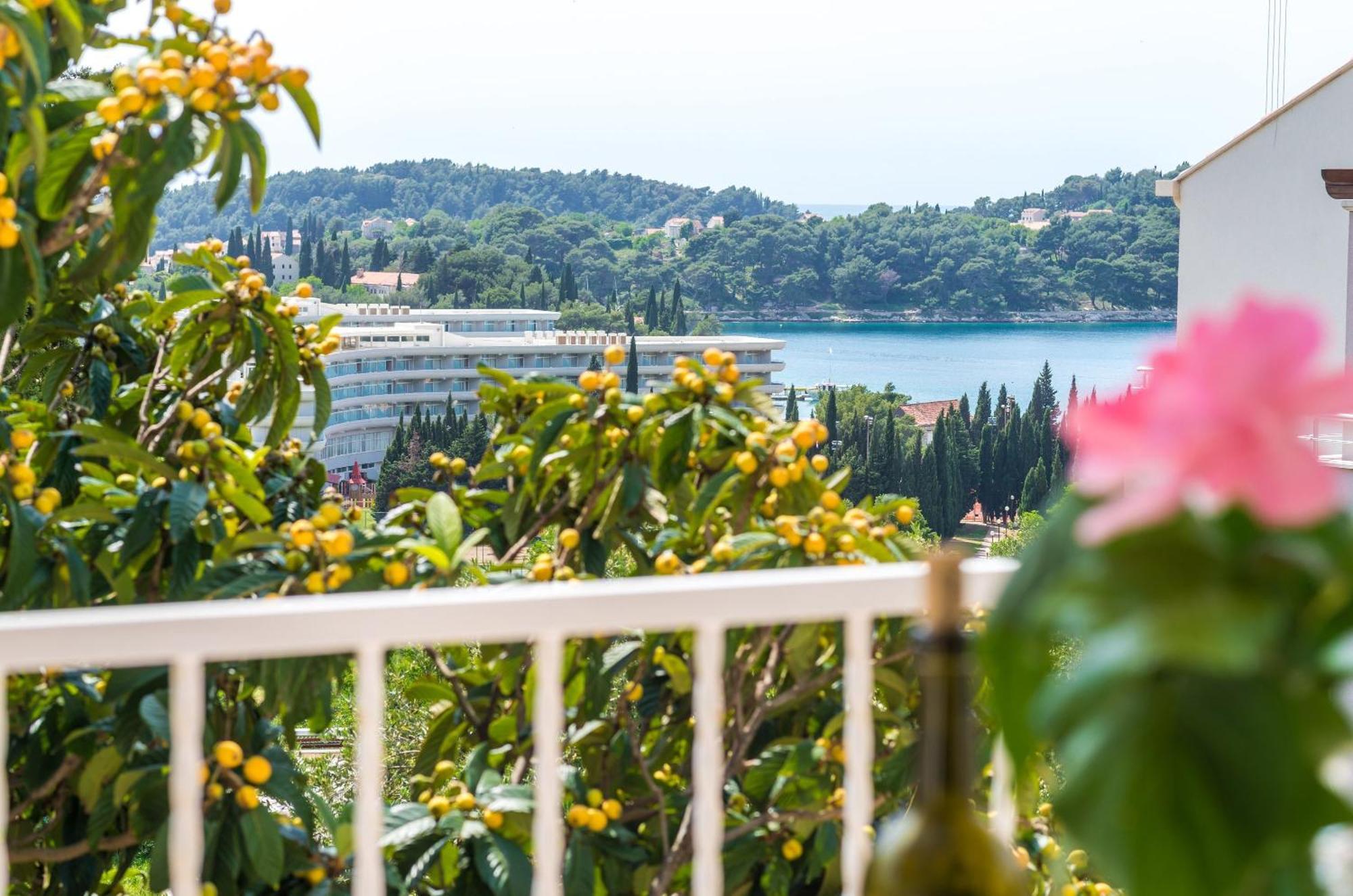 Villa Bind Cavtat Phòng bức ảnh